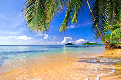 Tropical Wallpapers