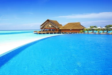 Tropical HD Wallpapers