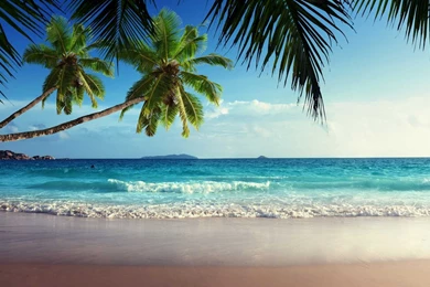 Tropical beach landscape wallpaper hd 3.jpg
