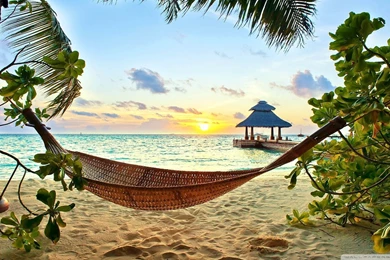 TROPICAL PARADISE Wallpapers Full HD [1920x1080]   Free Wallpapers ...