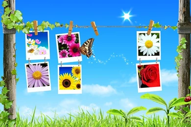 Spring nature wallpapers