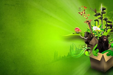 Animal Cartoon Hd Wallpapers