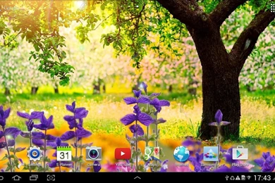 Spring Nature Live Wallpapers   Android Apps And Tests   AndroidPIT