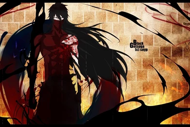 Mugetsu Kurosaki Ichigo, Wallpapers   Zerochan Anime Image Board