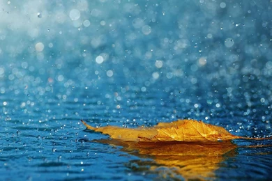 Computer Wallpapers 16   Best Wallpapers Collection