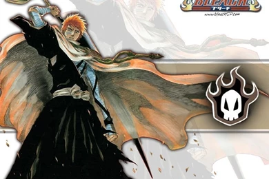 Kawaii Wallpapers! > Bleach Wallpapers Ichigo Anime And ...