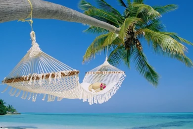 Tropical Beach   Wallpaper.