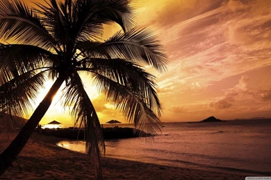 Tropical Beach Sunset HD Desktop Wallpapers : Widescreen : High ...