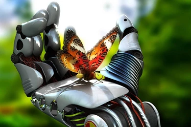 Butterfly On A Palm The Robot Wallpapers   Robots   Other ...
