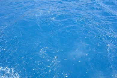 1280x960 Blue Water Desktop PC And Mac Wallpapers