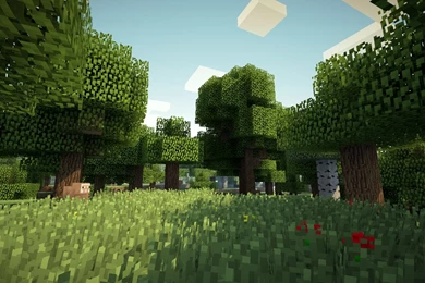 Shaders On MCX360? MCX360: Discussion Minecraft: Xbox 360 ...