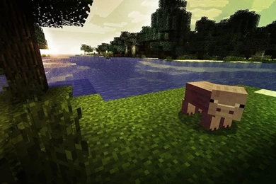 Minecraft Quickey Wallpapers By Gym Man Sam On DeviantArt