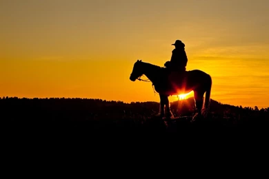 Gallery For   Cowboy Wallpapers