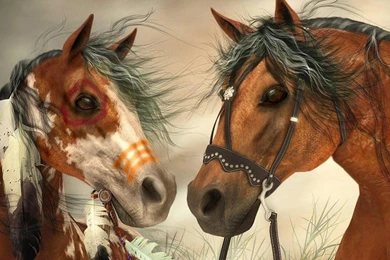 War Horse Indians And War Horse Of The Cowboys Hd Wallpapers ...