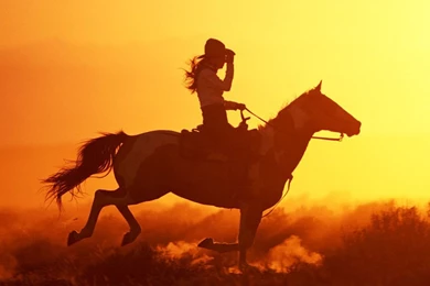 Gallery For   Cowboy On Horse Wallpapers