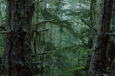 Sea Wallpapers Hd Wallpapers   95757