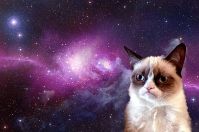 Cat In Space Wallpapers 1919x1199   (