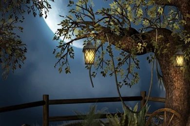 Compare Prices On Computer Screen Backgrounds  Online Shopping/Buy ...