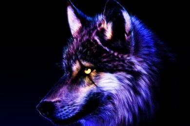 Cool Purple Wolves