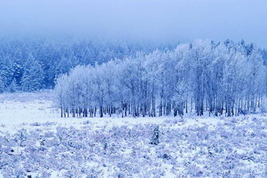 Free Wallpapers   Free Nature Wallpapers   Dual Screen Jokul ...