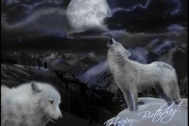 Moonlight Wolves Desktop Backgrounds Wallpapers Free