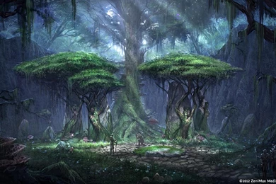 The Elder Scrolls Online Wallpapers