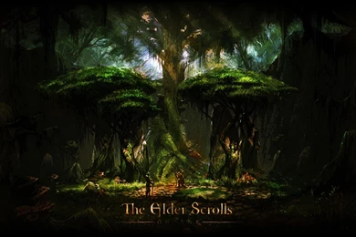 The Elder Scrolls Fonds D'ecran 14   Portal Games Wallpapers HD Image