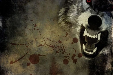 Gallery For   Angry Wolves Wallpapers