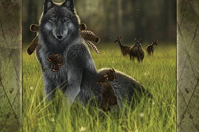 Dogs Hiding Hunt Mode Howl Wolf Wolves Wallpapers Gallery ~ Dogs ...
