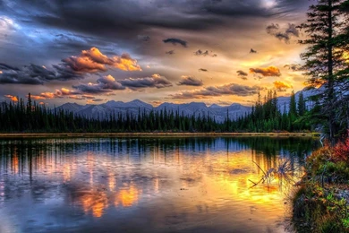 Beautiful Landscape Wallpapers   (