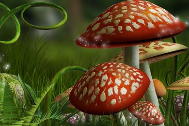 Cute Mushroom Wallpapers