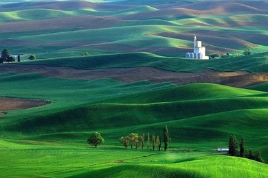 Gallery For   Beautiful Green Landscape Wallpapers