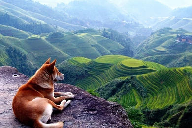 Beautiful Landscape Wallpaper: Autumn By Free Download Best HD ...