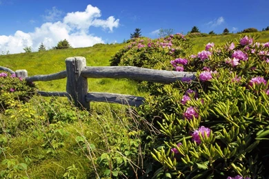 Gallery For   Beautiful Spring Landscape Wallpapers