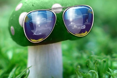 Page 3: New iPad Air, 4, 3, iPad Mini Retina Mushroom Wallpapers ...