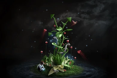 FREE 3D MUSHROOM WALLPAPER   (