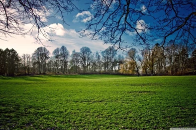 Gallery For   Beautiful Wallpapers Of Spring Season