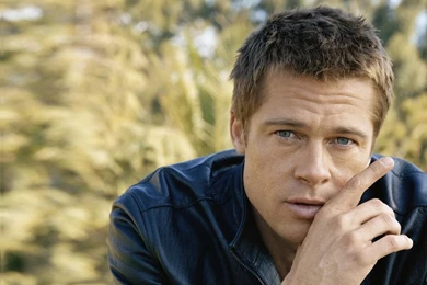 Brad Pitt Desktop Wallpapers 0.jpg