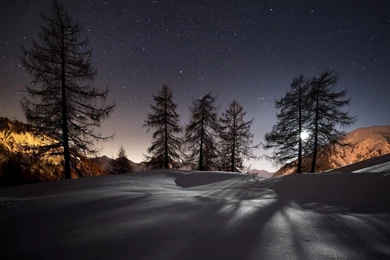 Night, Winter, Snow, Mountains, Trees, Stars, Nature Landscape ...