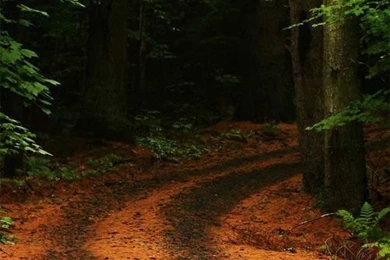 35 Stunning iPhone 5 Wallpapers