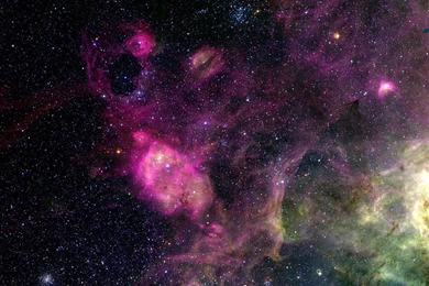 Fonds D'écran Eli Roth : Tous Les Wallpapers Eli Roth