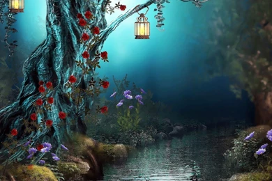 Night Time In The Blossoming Forest Wallpapers Digital Art ...
