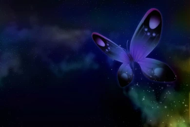 Butterfly Desktop Backgrounds