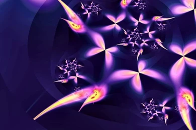 Sitorphicomp: Butterfly Desktop Wallpapers