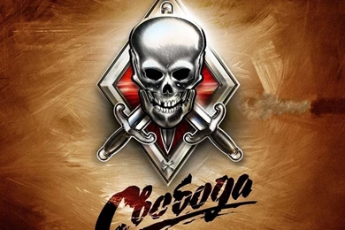 Skull And Swords iPad Wallpapers Download