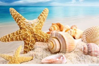 Summer wallpapers HD.jpg