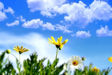 Beautiful Summer 2012 A Beautiful Day Wallpapers Hd Wallpapers ...