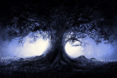 Fantasy, Blue, Landscapes, Nature, Trees, Dark, Night, Artwork ...