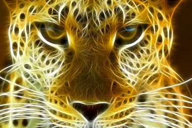 Cheetah Wallpapers 45 – HD Wallpaper, Wallpapers Pics   The Best ...