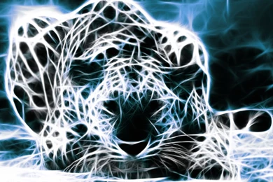 1920x1080 Art Design Leopard Wallpapers